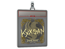 Sticker Slab | kyxsan (Gold) | Austin 2025