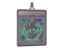 Sticker Slab | kyxsan (Holo) | Austin 2025
