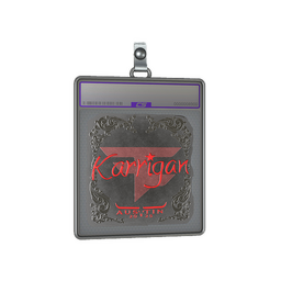 Sticker Slab | karrigan (Foil) | Austin 2025