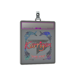 Sticker Slab | karrigan (Holo) | Austin 2025