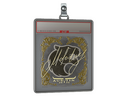 Sticker Slab | molodoy (Gold) | Austin 2025