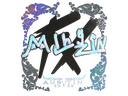Sticker | mlhzin (Holo) | Austin 2025