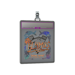 Sticker Slab | FL4MUS (Holo) | Austin 2025