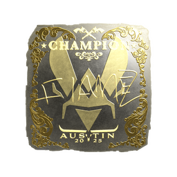 FlameZ (Gold, Champion) | Austin 2025