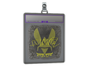 Sticker Slab | FlameZ (Foil) | Austin 2025