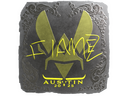 Sticker | FlameZ (Foil) | Austin 2025