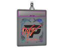 Sticker Slab | NQZ (Holo) | Austin 2025