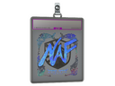 Sticker Slab | NAF (Holo) | Austin 2025