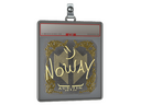 Sticker Slab | noway (Gold) | Austin 2025