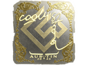 Sticker | cool4st (Gold) | Austin 2025