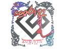 Sticker | cool4st (Holo) | Austin 2025