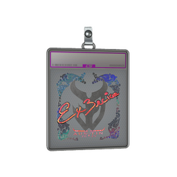 Sticker Slab | Ex3rcice (Holo) | Austin 2025