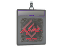 Sticker Slab | efire (Foil) | Austin 2025