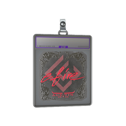 Sticker Slab | efire (Foil) | Austin 2025
