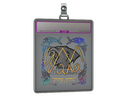Sticker Slab | EmiliaQAQ (Holo) | Austin 2025