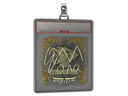 Sticker Slab | EmiliaQAQ (Gold) | Austin 2025
