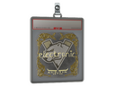 Sticker Slab | electronic (Gold) | Austin 2025