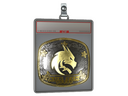 Sticker Slab | Team Spirit (Gold) | Austin 2025
