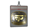 Sticker Slab | paiN Gaming (Gold) | Austin 2025