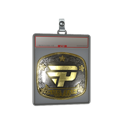 Sticker Slab | paiN Gaming (Gold) | Austin 2025