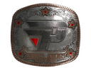 Sticker | paiN Gaming (Foil) | Austin 2025