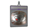 Sticker Slab | paiN Gaming (Foil) | Austin 2025