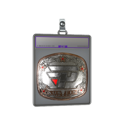 Sticker Slab | paiN Gaming (Foil) | Austin 2025