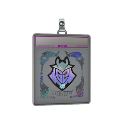 Sticker Slab | G2 Esports (Holo) | Austin 2025