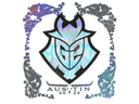 Sticker | G2 Esports (Holo) | Austin 2025