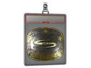 Sticker Slab | Complexity Gaming (Gold) | Austin 2025