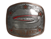 Наклейка | Complexity Gaming (металлическая) | Остин-2025