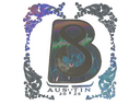 Sticker | B8 (Holo) | Austin 2025