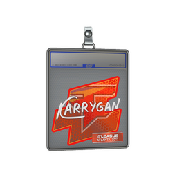 Sticker Slab | karrigan | Atlanta 2017