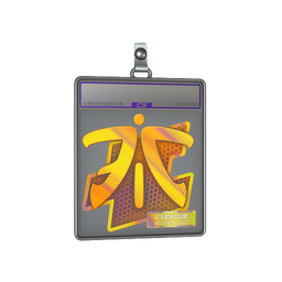 Sticker Slab | Fnatic (Holo) | Atlanta 2017