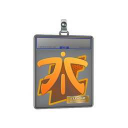 Sticker Slab | Fnatic | Atlanta 2017