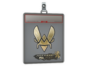 Sticker Slab | Vitality (Gold) | Antwerp 2022