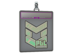 Sticker Slab | PGL (Holo) | Antwerp 2022