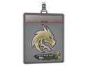 Sticker Slab | Team Spirit (Gold) | Antwerp 2022