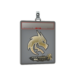 Sticker Slab | Team Spirit (Gold) | Antwerp 2022