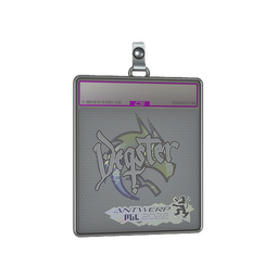 Sticker Slab | degster (Holo) | Antwerp 2022