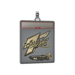 Sticker Slab | dav1d (Gold) | Antwerp 2022