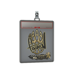 Sticker Slab | faveN (Gold) | Antwerp 2022
