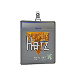 Sticker Slab | hatz | Antwerp 2022