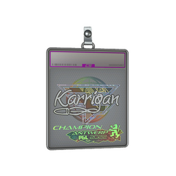 Sticker Slab | karrigan (Holo, Champion) | Antwerp 2022