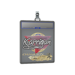 Sticker Slab | karrigan (Champion) | Antwerp 2022