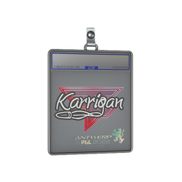 Sticker Slab | karrigan | Antwerp 2022