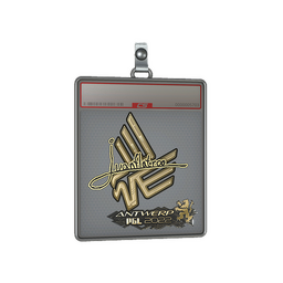 Sticker Slab | juanflatroo (Gold) | Antwerp 2022