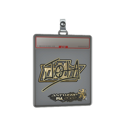 Sticker Slab | JOTA (Gold) | Antwerp 2022