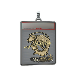 Sticker Slab | Jame (Gold) | Antwerp 2022