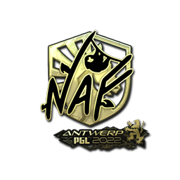 NAF (золотая) | Антверпен-2022